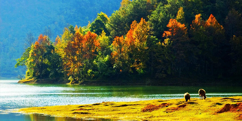 4b6211669692c617b182b5652bf1720a.jpg 4b6211669692c617b182b5652bf1720a.jpg