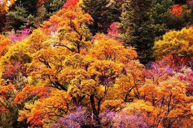 ce0d6b373c98b32560029df6c46377ea.jpg ce0d6b373c98b32560029df6c46377ea.jpg