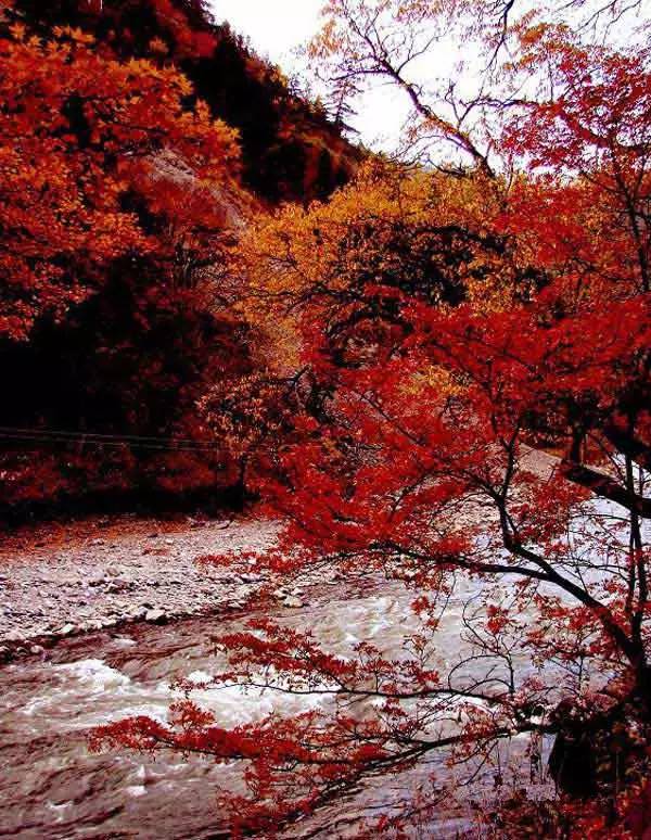 d5eefc6f370fbafd8156c59aaae7cb26.jpg d5eefc6f370fbafd8156c59aaae7cb26.jpg