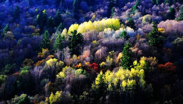 305066b3d7bc1754650a4b63f8847bbe.jpg 305066b3d7bc1754650a4b63f8847bbe.jpg