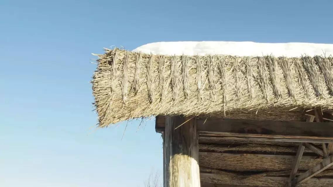 c4caed44ecc4bc8b7298dc640a3438d1.jpg c4caed44ecc4bc8b7298dc640a3438d1.jpg