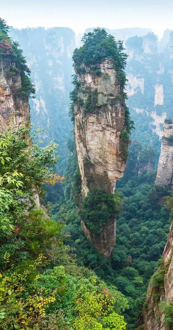 d0c18f676fbcdc6bc1d2b1718ea8bac5.jpg d0c18f676fbcdc6bc1d2b1718ea8bac5.jpg