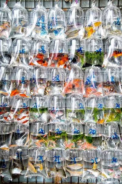 29679135d5967a80a5d69c0906693609.jpg 29679135d5967a80a5d69c0906693609.jpg