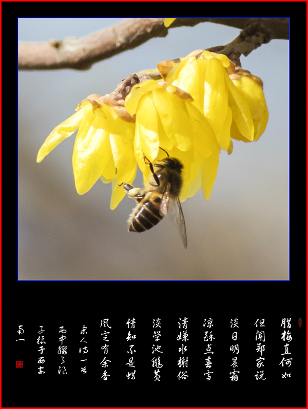 LIU_8425副本副本.jpg