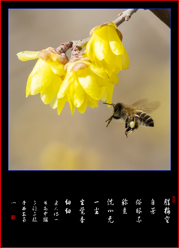 LIU_8383副本副本.jpg