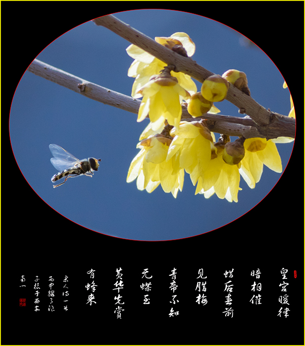 LIU_8481副本2副本.jpg