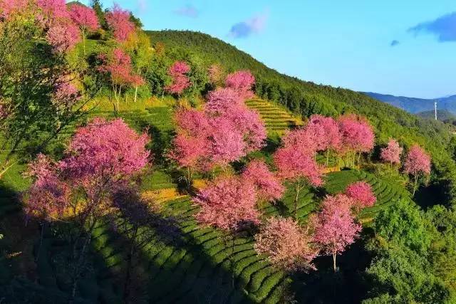 e0b2516ce48327f378e11c2bb5892277.jpg e0b2516ce48327f378e11c2bb5892277.jpg