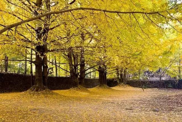 4197f0d7ab709d43a9bbc85df9672de7.jpg 4197f0d7ab709d43a9bbc85df9672de7.jpg