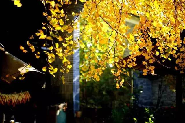 415046ddb8d26a68fb6e762f604522ed.jpg 415046ddb8d26a68fb6e762f604522ed.jpg