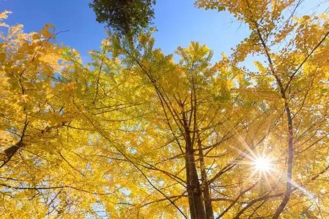 ff0af77210fbe8e5df95412ead01786c.jpg ff0af77210fbe8e5df95412ead01786c.jpg