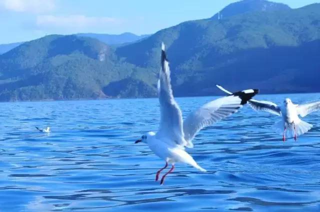 6d03f0259a0a06a57c2699e5213797c6.jpg 6d03f0259a0a06a57c2699e5213797c6.jpg