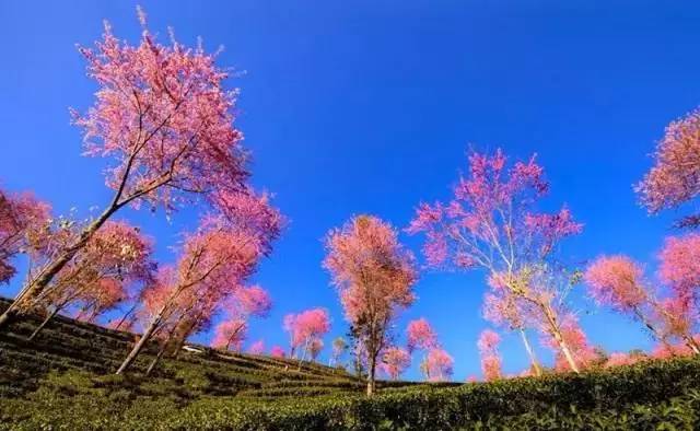 c503ad4b7bcc0eb4ef923d8b16511f0b.jpg c503ad4b7bcc0eb4ef923d8b16511f0b.jpg