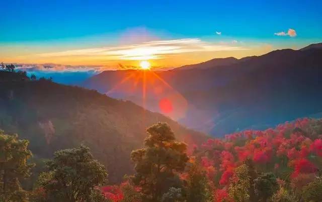 a7d99f43986c6d1584b0746e2aeb8007.jpg a7d99f43986c6d1584b0746e2aeb8007.jpg