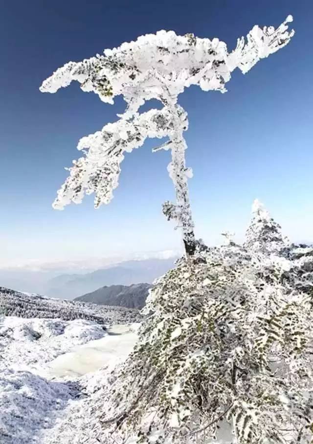 89f23463f9ca6ec39975c796bd850c13.jpg 89f23463f9ca6ec39975c796bd850c13.jpg