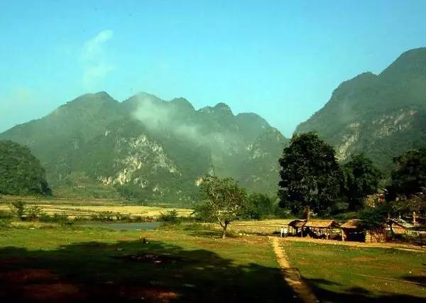 5c755e860ee76d77c570b7665b617ecb.jpg 5c755e860ee76d77c570b7665b617ecb.jpg