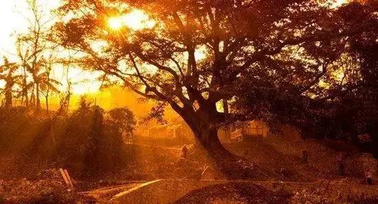 528384169fd3c6a609062584404ed7c4.jpg 528384169fd3c6a609062584404ed7c4.jpg