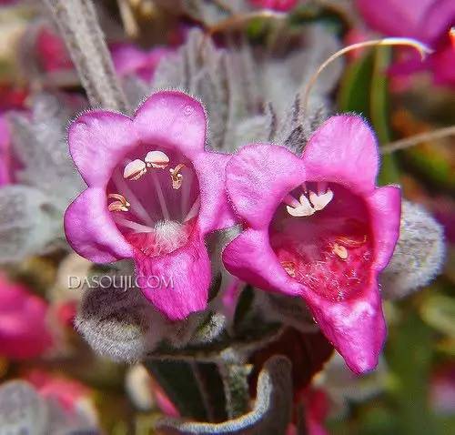 6875439081aba2eda45fc2478018582d.jpg 6875439081aba2eda45fc2478018582d.jpg