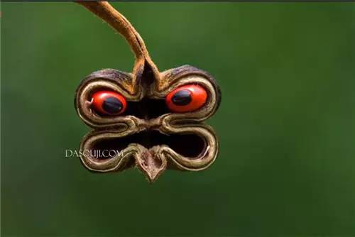 0531aaf5a2f556c24cdfffbc169e129c.jpg 0531aaf5a2f556c24cdfffbc169e129c.jpg