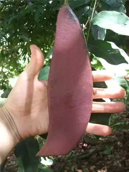 caed5ed48d22cfb1e998a9dda0c589bb.jpg caed5ed48d22cfb1e998a9dda0c589bb.jpg