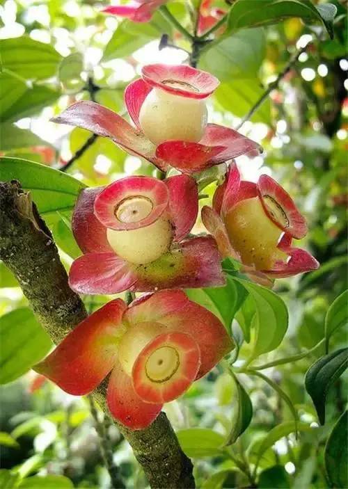 c54053ca526df73d84d2e32d4a286973.jpg c54053ca526df73d84d2e32d4a286973.jpg