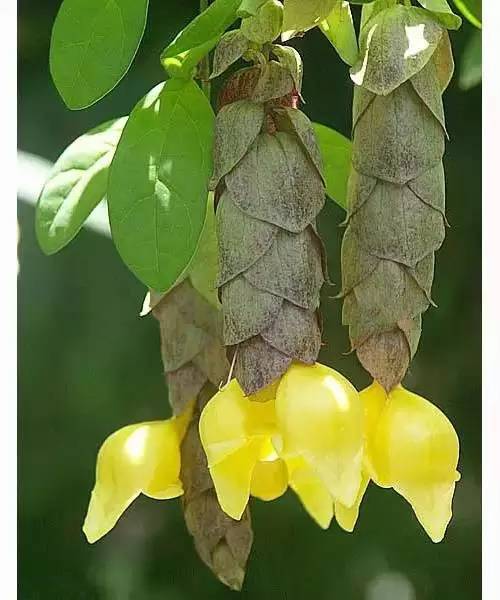 ab4076b574734e46ac023e2e34e4621d.jpg ab4076b574734e46ac023e2e34e4621d.jpg