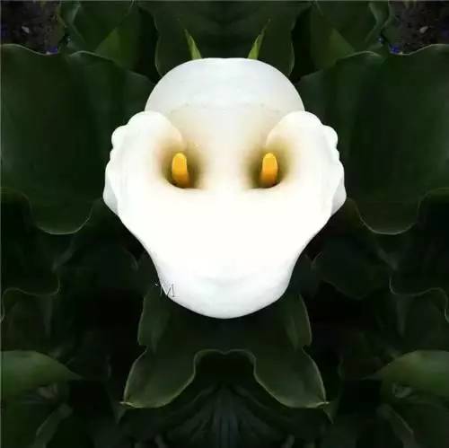 02b8b87b853b330a8518a1e3e902fa3e.jpg 02b8b87b853b330a8518a1e3e902fa3e.jpg