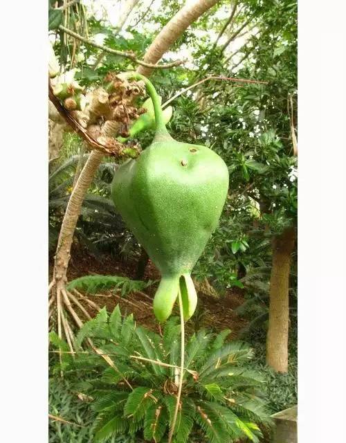 83bf47f499728b78bcae72183ce3e5e3.jpg 83bf47f499728b78bcae72183ce3e5e3.jpg