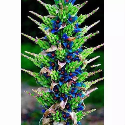 4bae6e8768a233ba904af0e151979815.jpg 4bae6e8768a233ba904af0e151979815.jpg