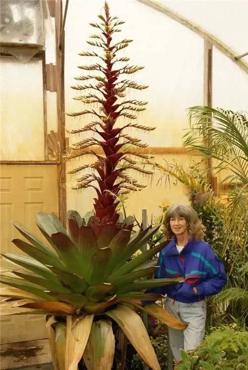 d1d0cfa72502e7b50f70215b2b6df8dd.jpg d1d0cfa72502e7b50f70215b2b6df8dd.jpg