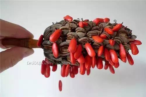 0d4d645486a465738793dae89507b115.jpg 0d4d645486a465738793dae89507b115.jpg