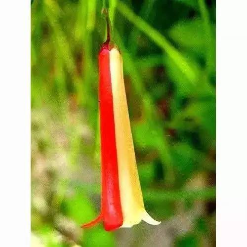 24277bf0b11dfcc70af71af50cf434a5.jpg 24277bf0b11dfcc70af71af50cf434a5.jpg