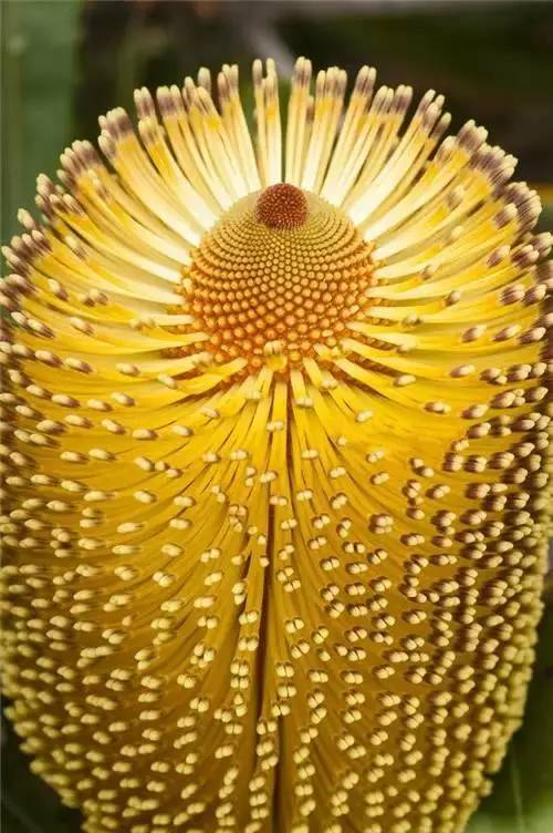 d244d75b1562d3e2d7f18470c6fc7fa0.jpg d244d75b1562d3e2d7f18470c6fc7fa0.jpg