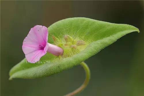 caba7b6136463383ecbd2b7b8b20645a.jpg caba7b6136463383ecbd2b7b8b20645a.jpg