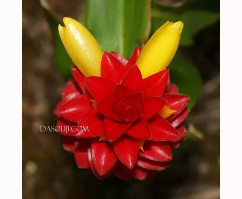 19264b9538b79fbba31f262ed5ca66d8.jpg 19264b9538b79fbba31f262ed5ca66d8.jpg