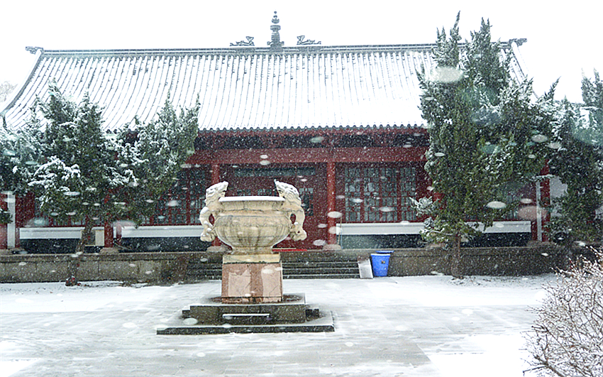 DSC_9153_副本.jpg