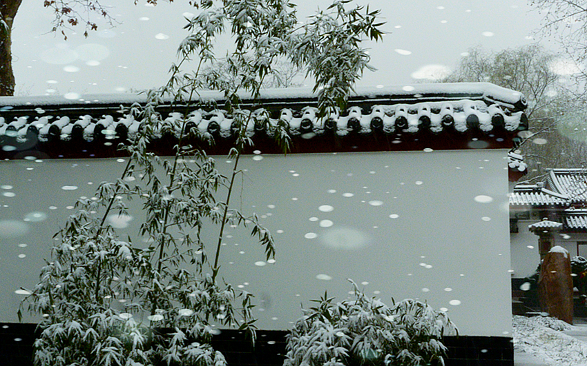 DSC_9155_副本.jpg