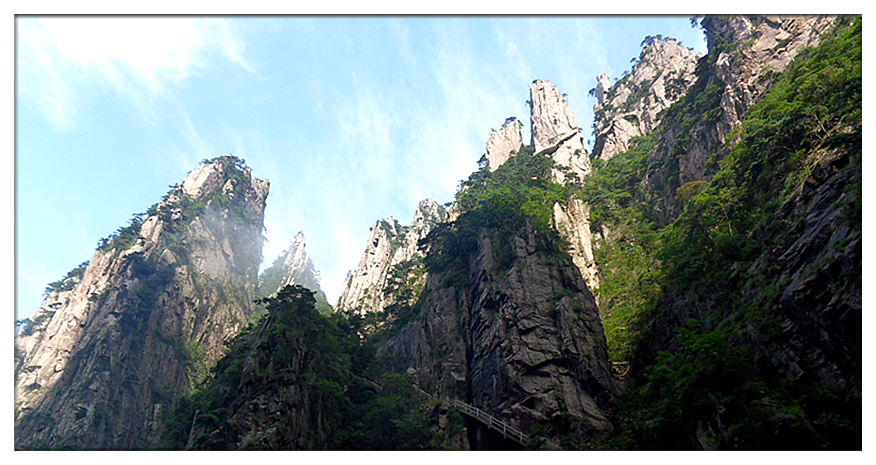 SDC11362_副本.jpg