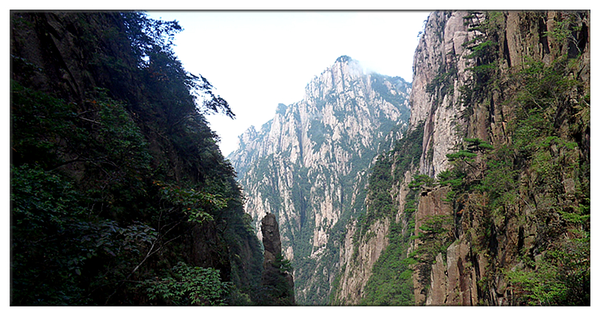 SDC11413_副本.jpg
