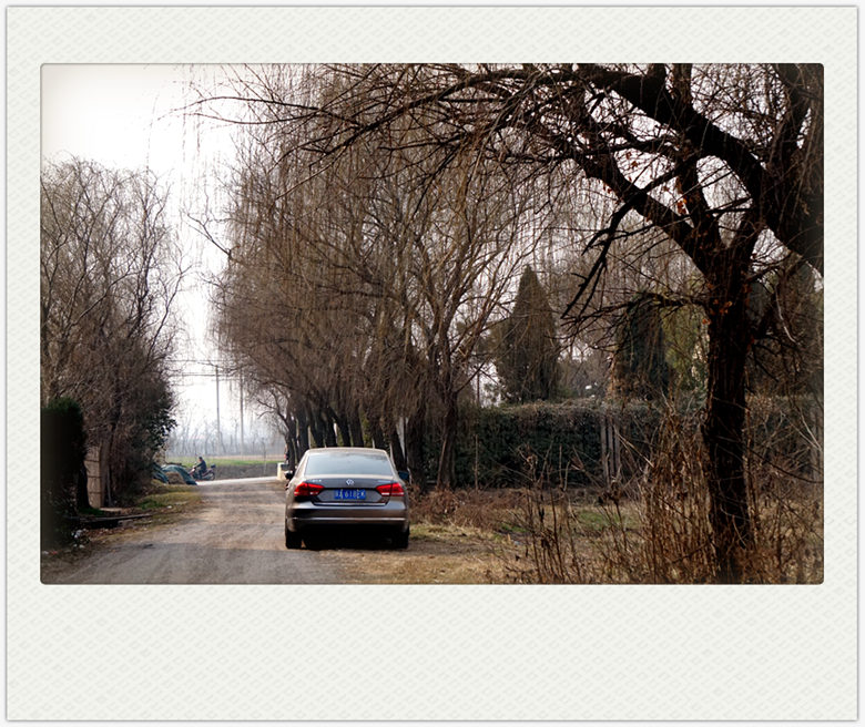 DSC09312_副本.jpg