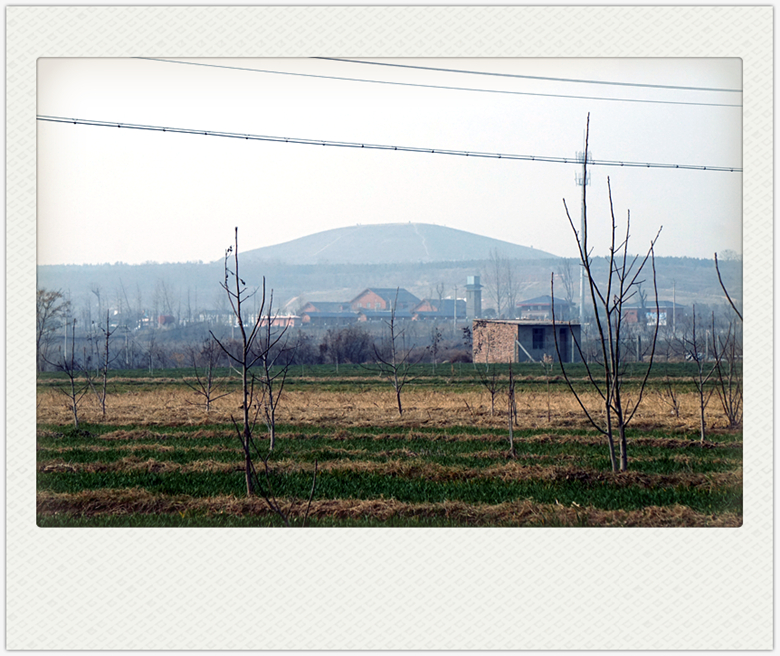 DSC09329_副本.jpg