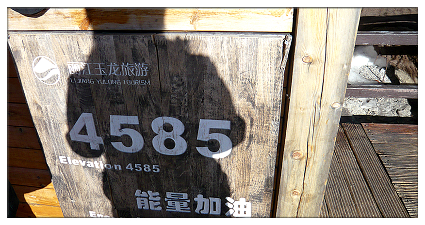 P1010086_副本.jpg