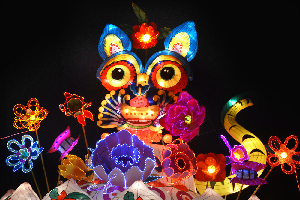 大唐芙蓉园灯展 (21).jpg