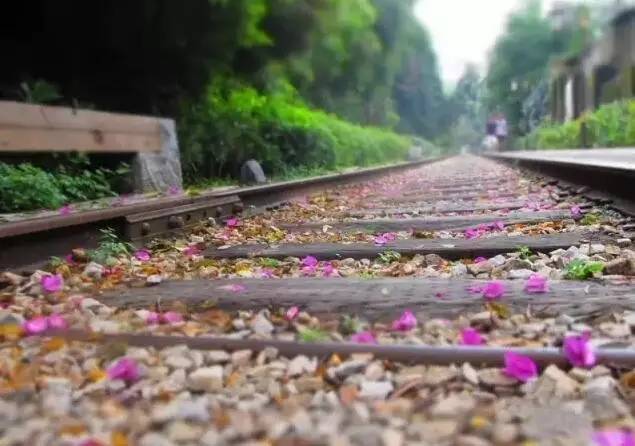 325a15951970a59471be246606340b07.jpg 325a15951970a59471be246606340b07.jpg