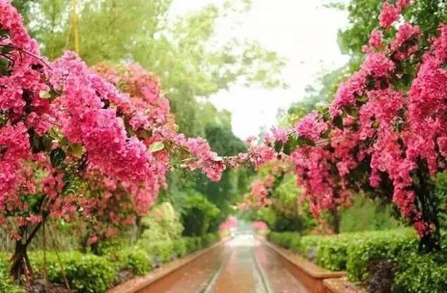 1fab11d441808784ee92ce446167c848.jpg 1fab11d441808784ee92ce446167c848.jpg