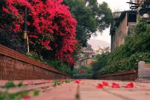 4bb195b977f1ab9614e6d22e70ecd343.jpg 4bb195b977f1ab9614e6d22e70ecd343.jpg