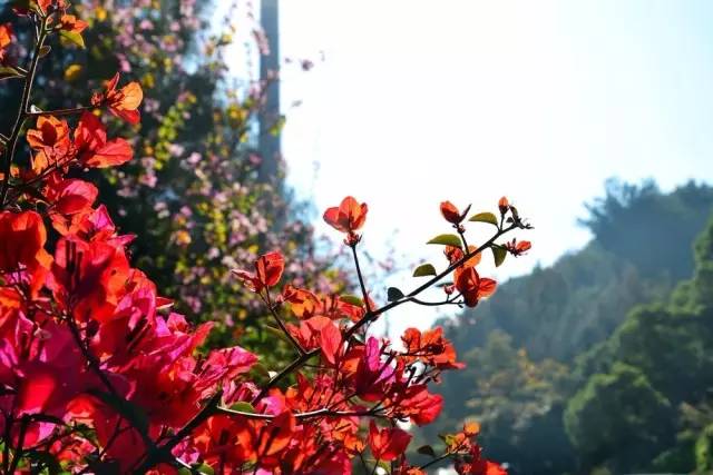 1b80265a3a968d0e2217a25e2a25cba5.jpg 1b80265a3a968d0e2217a25e2a25cba5.jpg