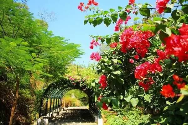 3b8deb01e9332af607ead7705c3b03bc.jpg 3b8deb01e9332af607ead7705c3b03bc.jpg