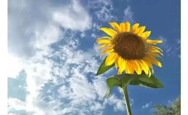 23d8ad03552179c4ab95439e401244c4.jpg 23d8ad03552179c4ab95439e401244c4.jpg