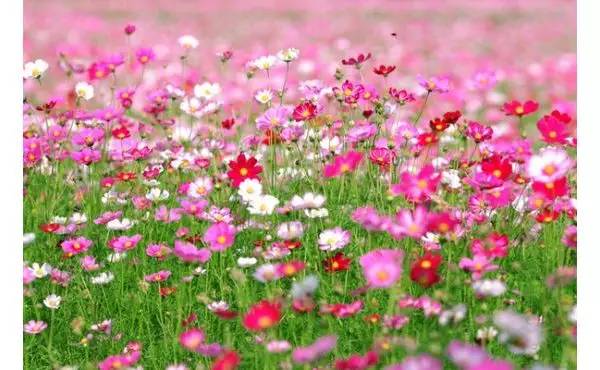 0713fcb02882a148bb4f3b53e386a255.jpg 0713fcb02882a148bb4f3b53e386a255.jpg