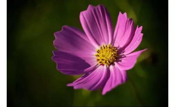 50d941a93c1670525f69dc31dc3981f3.jpg 50d941a93c1670525f69dc31dc3981f3.jpg